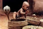 child playing next to cobras in their baskets in India