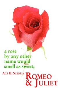 a rose by any other name would smell as sweet